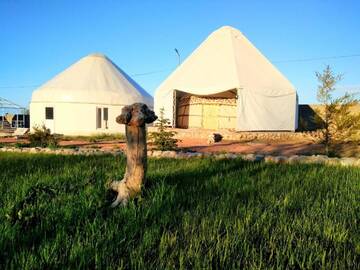 Фото номера Шатер Кемпинги Yurt camp Meiman Ordo г. Bokonbayevo 8